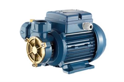 الکتروپمپ محیطی سری CP پنتاکس