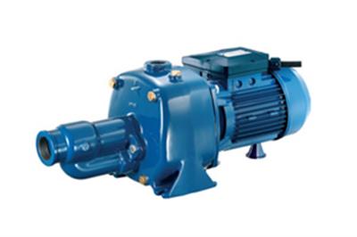 پنتاکس CAB الکتروپمپ خودمکش سری