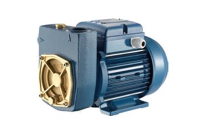 الکتروپمپ محیطی سریMD پنتاکس